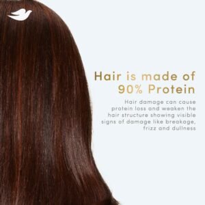 Dove Hair Fall Rescue Shampoo (330ml)